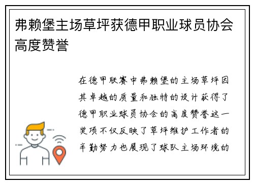 弗赖堡主场草坪获德甲职业球员协会高度赞誉